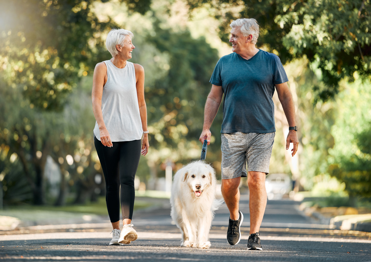 Cardiovascular health testing for your heart